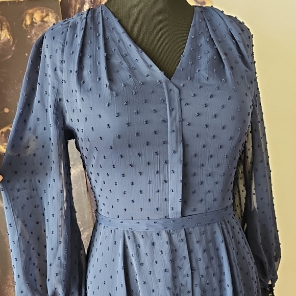 Gal Meets Glam Retro Andrea A-Line V Neck Sheer Balloon Sleeves Swiss Dot Dress - Picture 5 of 14